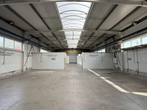 Pronájem skladu, Tábor, Vožická, 7000 m2