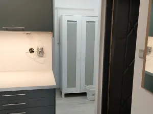 Pronájem bytu 1+kk, Brno, Brigádnická, 20 m2