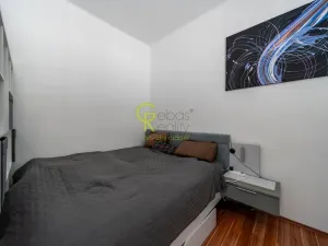 Prodej činžovního domu, Liberec - Liberec II-Nové Město, U Věže, 414 m2