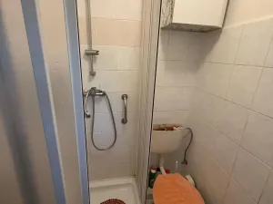 Prodej chaty, Nepomyšl - Nová Ves, 102 m2
