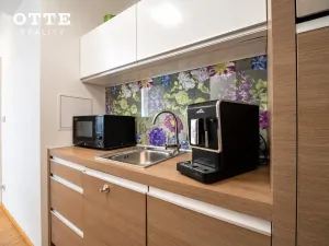 Prodej bytu 2+kk, Plzeň, Šafaříkovy sady, 60 m2