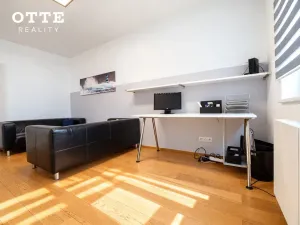 Prodej bytu 2+kk, Plzeň, Šafaříkovy sady, 60 m2