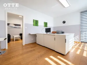 Prodej bytu 2+kk, Plzeň, Šafaříkovy sady, 60 m2