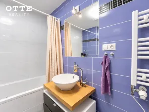 Prodej bytu 2+kk, Plzeň, Šafaříkovy sady, 60 m2