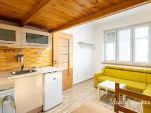 Pronájem bytu 1+kk, Praha - Holešovice, Přístavní, 20 m2
