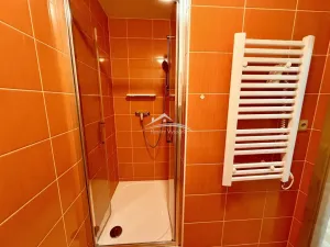 Pronájem bytu 1+1, Havlíčkův Brod, Na Spravedlnosti, 40 m2