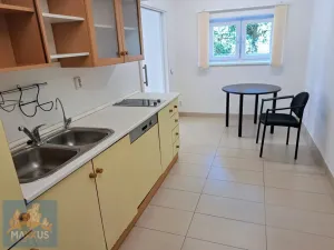 Pronájem bytu 2+1, Praha - Strašnice, Na Třebešíně, 88 m2
