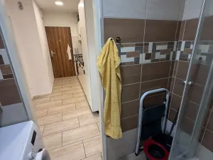 Pronájem bytu 2+kk, Praha - Holešovice, Komunardů, 55 m2
