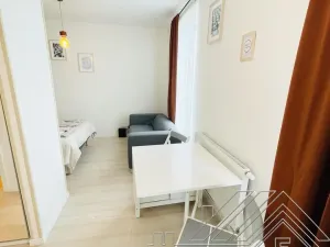 Pronájem bytu 1+kk, Praha - Vysočany, Poděbradská, 23 m2