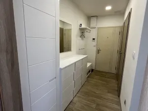 Pronájem bytu 2+1, Přerov - Přerov I-Město, Trávník, 58 m2
