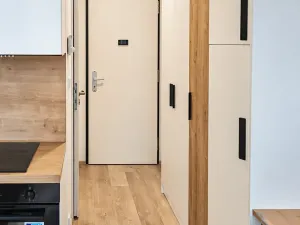 Pronájem bytu 1+kk, Praha - Smíchov, Plzeňská, 20 m2