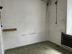 Pronájem skladu, Pardubice, Jana Palacha, 25 m2