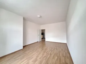 Pronájem bytu 2+1, Praha - Bubeneč, U zeměpisného ústavu, 49 m2