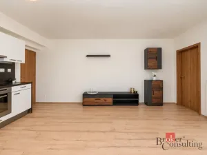 Pronájem bytu 2+kk, Plzeň - Bolevec, U Velkého rybníka, 59 m2