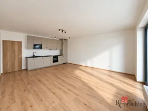 Pronájem bytu 2+kk, Plzeň - Jižní Předměstí, Železná, 56 m2