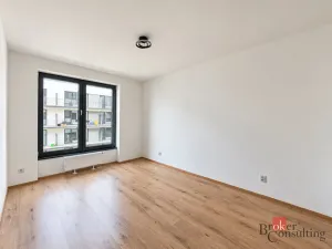 Pronájem bytu 2+kk, Plzeň - Jižní Předměstí, Železná, 56 m2