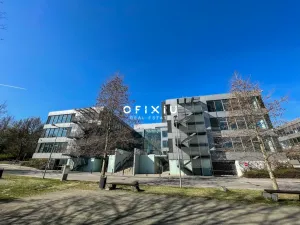 Pronájem obchodního prostoru, Brno - Medlánky, Purkyňova, 135 m2
