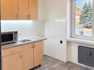 Prodej bytu 1+1, Litvínov - Chudeřín, Horská, 32 m2