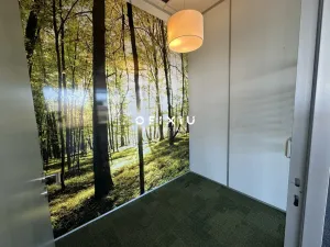 Pronájem kanceláře, Brno - Královo Pole, Technická, 174 m2
