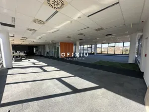 Pronájem kanceláře, Brno - Královo Pole, Technická, 174 m2
