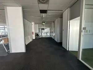 Pronájem kanceláře, Brno - Královo Pole, Technická, 174 m2
