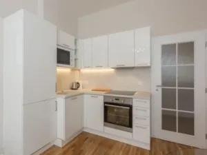 Pronájem bytu 2+kk, Praha - Žižkov, Ondříčkova, 48 m2