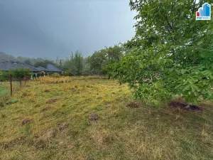 Prodej pozemku pro bydlení, Zbůch, Plzeňská, 1285 m2