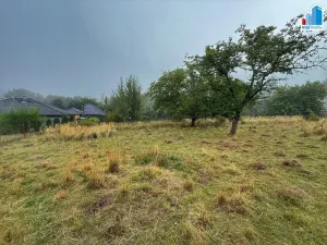 Prodej pozemku pro bydlení, Zbůch, Plzeňská, 1285 m2