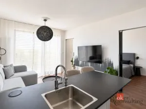 Pronájem bytu 2+kk, Plzeň - Východní Předměstí, Zahradní, 43 m2
