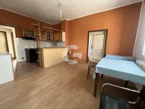 Prodej atypického bytu, Velké Opatovice, Sokolská, 450 m2