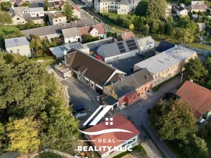 Prodej vícegeneračního domu, Opava, Přemyslovců, 780 m2