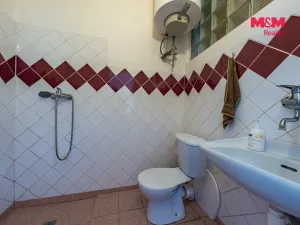 Prodej obchodního prostoru, Nová Ves - Vepřek, 600 m2
