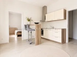 Pronájem bytu 2+kk, České Budějovice - České Budějovice 2, U Boru, 40 m2