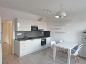 Pronájem bytu 3+kk, Jihlava, Halasova, 65 m2