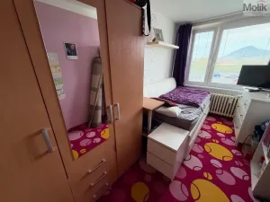 Prodej bytu 3+1, Most, Jiřího Wolkera, 69 m2