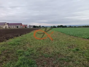 Prodej pozemku pro bydlení, Stará Ves, 1343 m2