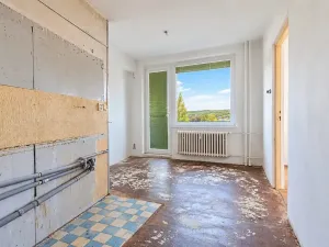 Prodej bytu 1+1, Olomouc, Pionýrská, 45 m2