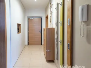 Pronájem bytu 2+kk, Praha - Vysočany, Sousedíkova, 59 m2