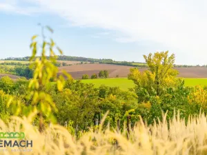 Prodej pozemku pro bydlení, Ostrožská Lhota, 490 m2