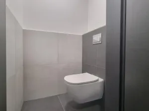 Pronájem bytu 2+kk, Zelené Předměstí, Pod Vinicí, 68 m2