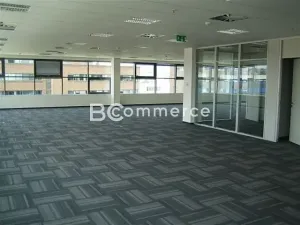 Pronájem kanceláře, Brno, 240 m2