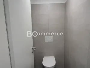 Pronájem obchodního prostoru, Brno, 235 m2