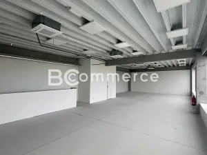 Pronájem obchodního prostoru, Brno, 235 m2