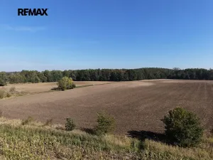 Prodej komerčního pozemku, Rokytno, 99492 m2
