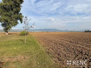 Prodej pozemku pro bydlení, Terezín, 25590 m2