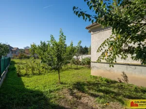 Prodej rodinného domu, Hrušovany nad Jevišovkou, 47 m2
