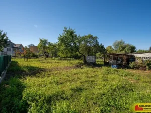 Prodej rodinného domu, Hrušovany nad Jevišovkou, 47 m2