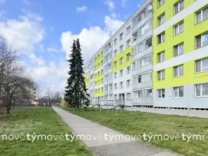 Pronájem bytu 1+1, Heřmanův Městec, V Lukách, 35 m2
