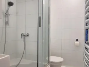 Prodej bytu 1+1, Rokytnice v Orlických horách, Sídliště 1. máje, 32 m2