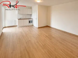 Prodej bytu 1+kk, Roudnice nad Labem, Havlíčkova, 29 m2